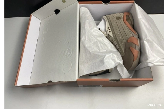 Rep EP AIR DC9857-200 14 Blush Jordan Terra Low Retro DC9857-200 Clot 0423